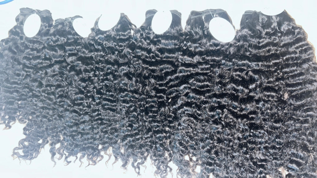 Raw Burmese Curly