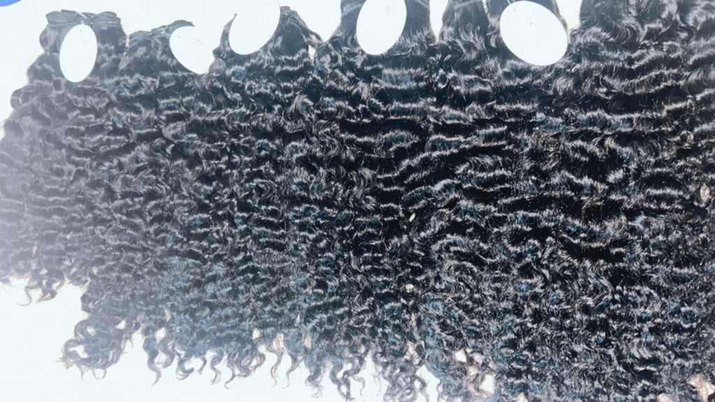 Raw Burmese Curly